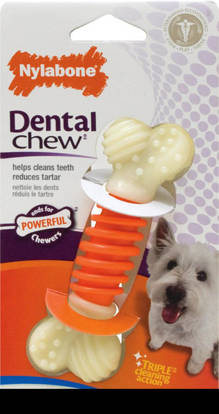 Picture of Nylabone Pro Action Dental - Small