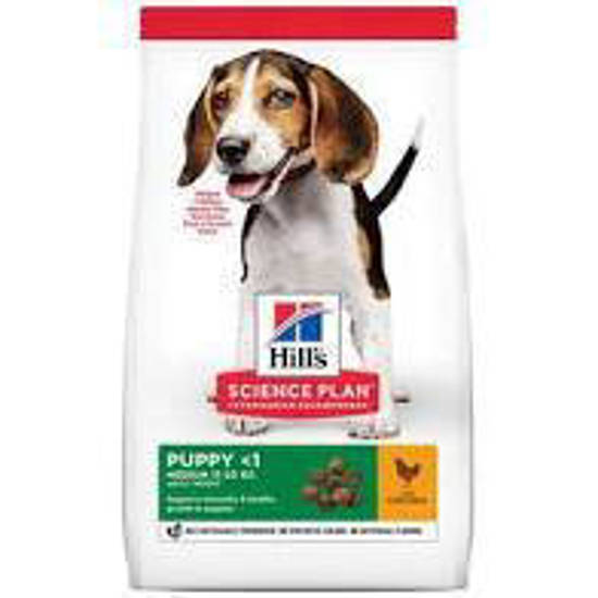 Picture of Hills Science Plan Puppy Medium with Chicken 2.5kg