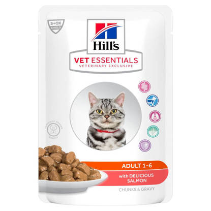 Picture of Hills Vet Essentials Adult Wet Cat Food with Salmon 12 x 85g