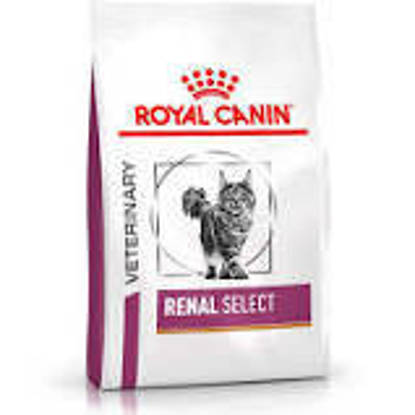 Picture of Royal Canin Cat Renal Select 4kg