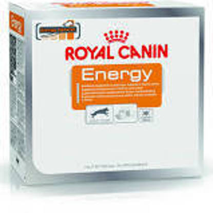 Picture of Royal Canin Canine Energy Treats 50g x 30