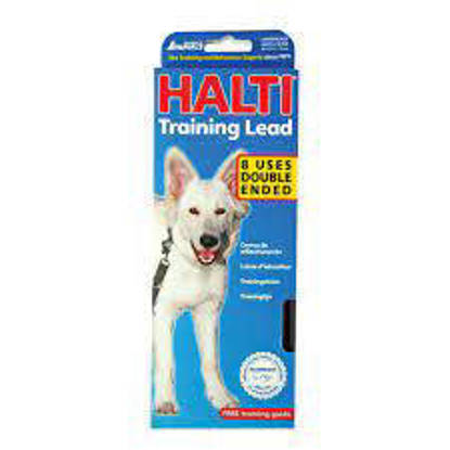 Picture of Halti Training Lead - large